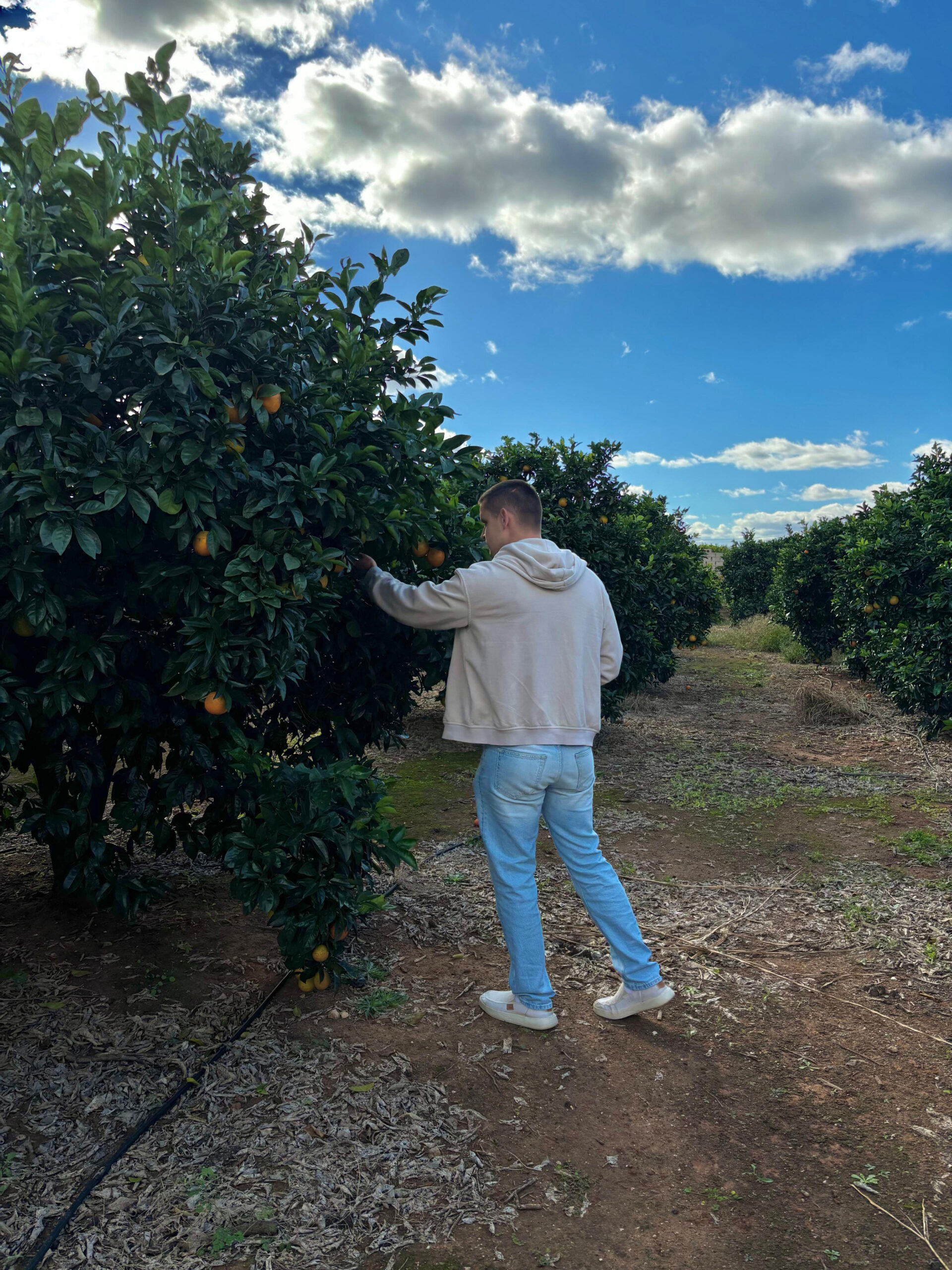 bc6f0818ed58269606deaceeb4ef00c6c5f07a3c